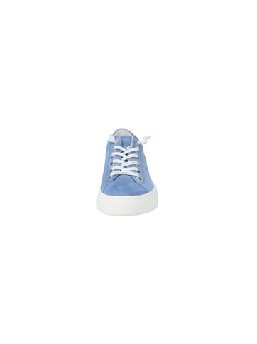 Paul Green Lowtop-Sneaker in Denim-Blau