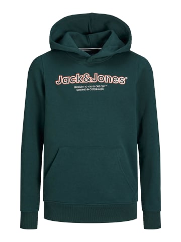 JACK & JONES Junior Kapuzen-Sweatshirt in magical forest