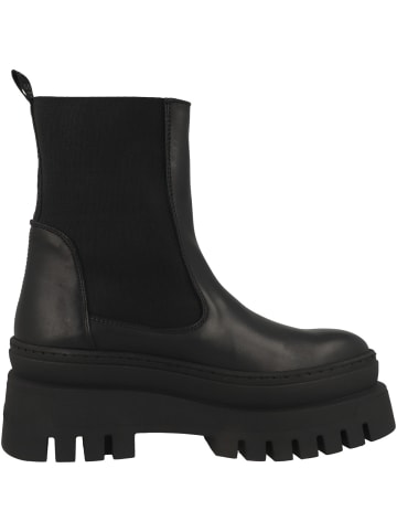 Steve Madden Chelsea Boots Cassandra in schwarz