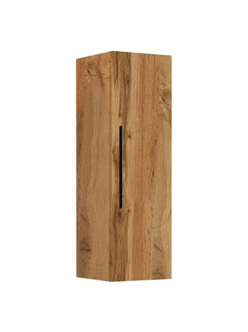 VCM  Holz Wandregal Wandschrank Arila LS in Honig-Eiche