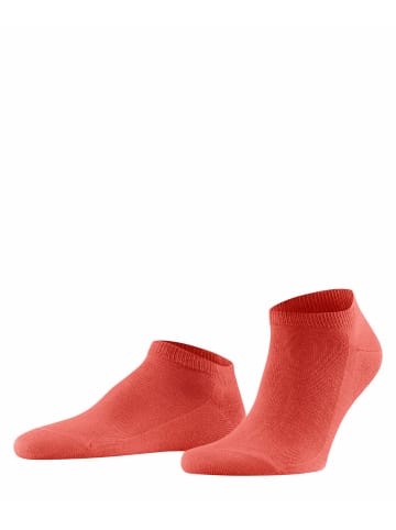 Falke Sneakersocken Family in Orange