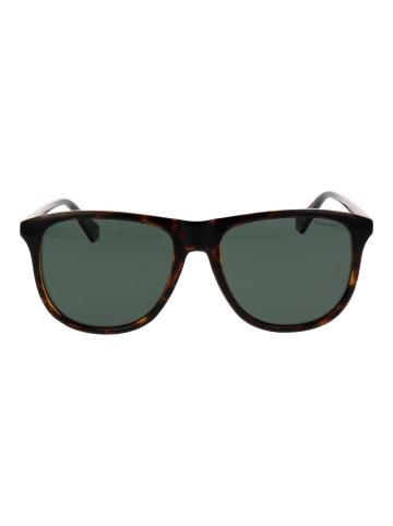 Polaroid Männer Sonnenbrille Panto Braun