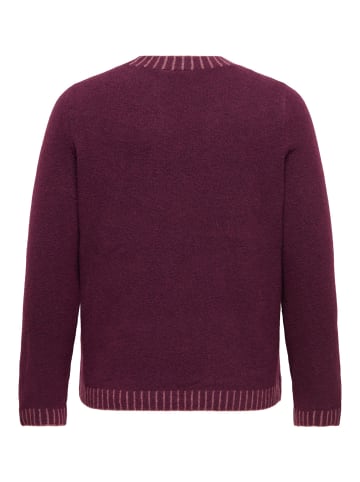 ONLY Carmakoma Strickpullover in Fig 1