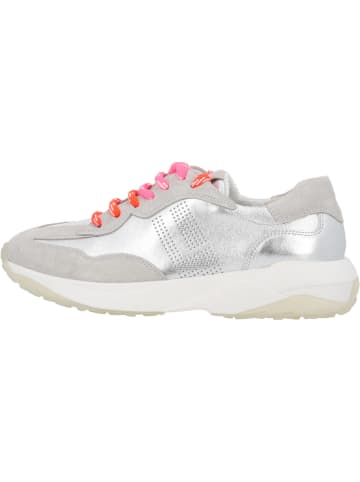 Paul Green Schnürschuhe in CLOUD/SILVER