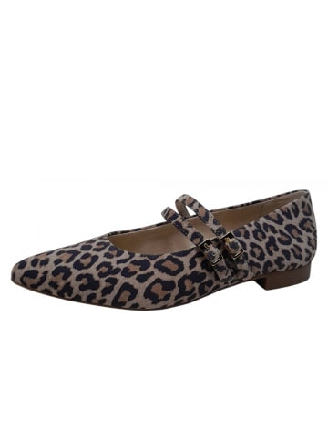 Paul Green Spangenballerina in Beige