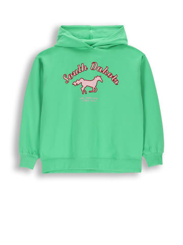 Coccodrillo Kapuzen-sweatshirt in grün