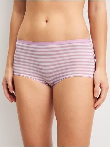 Calida Panty, 3er-Pack in fragrant lilac