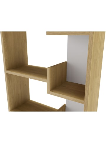 CALICOSY Bücherregal KLAPO in Eichenholz - (W) 60.5  x (H) 162.4  x (L) 22  cm