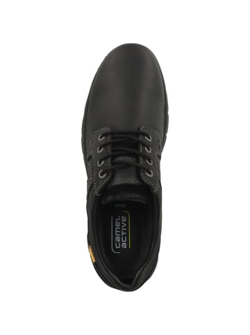 Camel Active Schnürschuhe 55AVA05 XT in schwarz