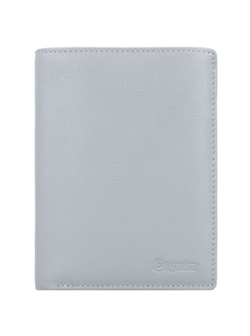 Esquire Viktoria Geldbörse RFID Leder 10 cm grau