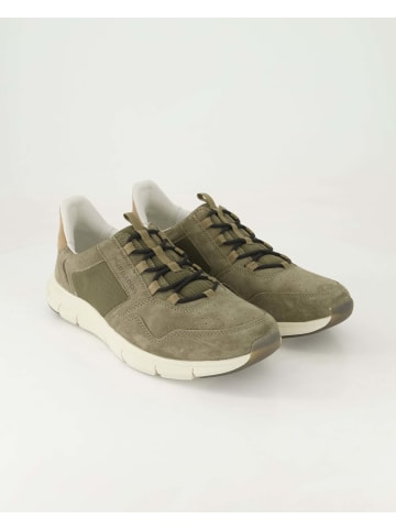 Pius Gabor Sneaker low in Grün