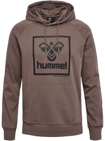 Hummel Hummel Kapuzenpullover Hmlisam Herren in IRON