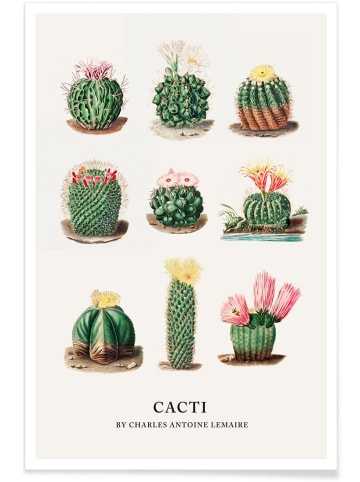 Juniqe Poster "Cacti by Charles Antoine Lemaire" in Cremeweiß & Grün