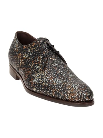 Floris van Bommel Elegante Schnürschuhe in Braun
