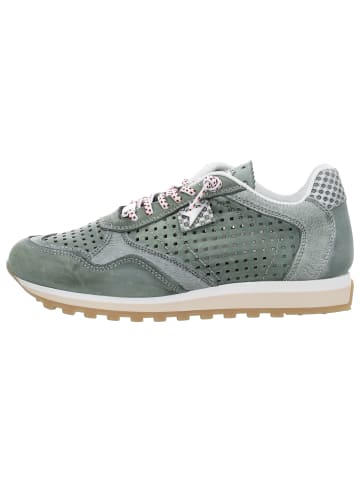 Cetti Sneaker Low in grün
