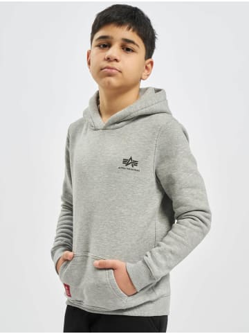 Alpha Industries Alpha Industries Hoodie in grey heather
