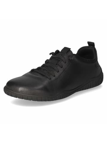 Josef Seibel Schnürhalbschuh in schwarz