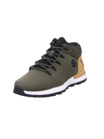 Timberland Schnürschuh in grün