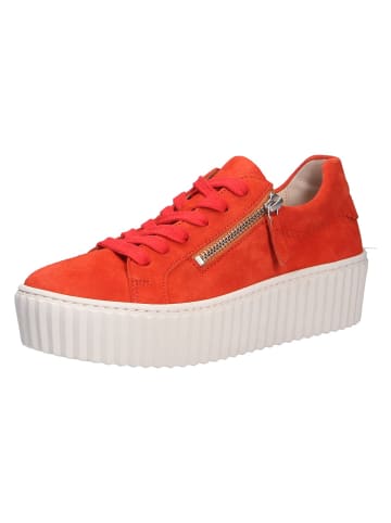 Pius Gabor Sneaker in orange