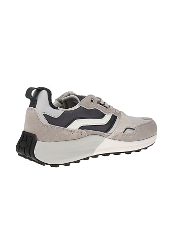 British Knights Sneaker low Veli in Grau