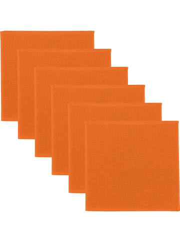 Erwin Müller Baumwolle Spültuch 6er-Pack in kürbis