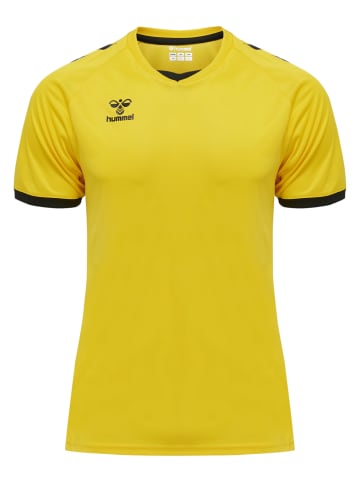 Hummel Raglanärmel Hmlcore Erwachsene in BLAZING YELLOW