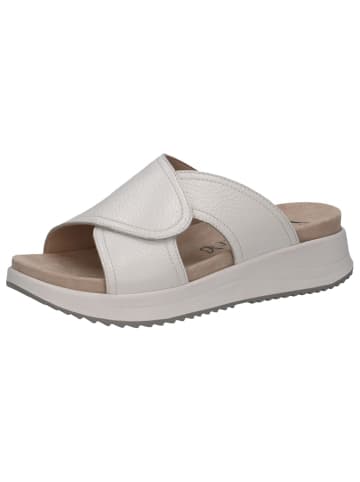Caprice Pantolette in WHITE DEER