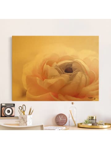 WALLART Leinwandbild Gold - Rosa Blüte im Fokus in Rosa