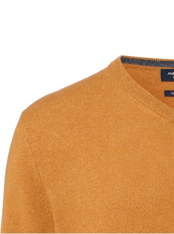 Andrew James Strickpullover in orange - 0005