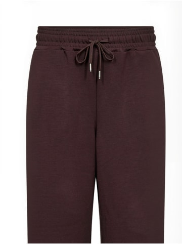Wasabi Concept Hose WA-SABINA in 8980 CHOCOLATE PLUM