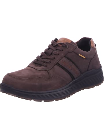Camel Active Schnürschuh in braun