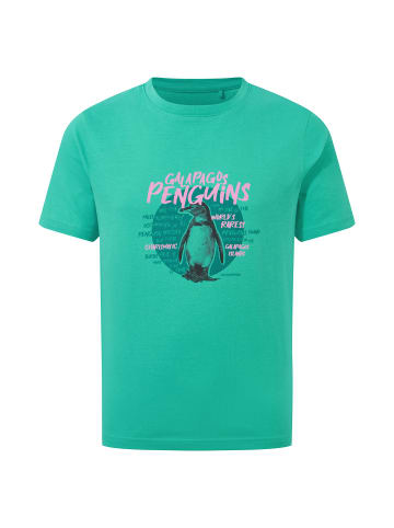 Craghoppers T-Shirt Ellis in Ocean Green Penguin