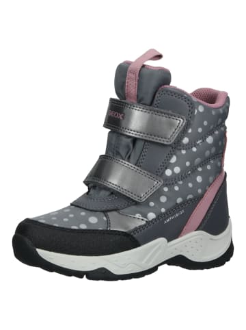 Geox Stiefelette in Grau/Pink