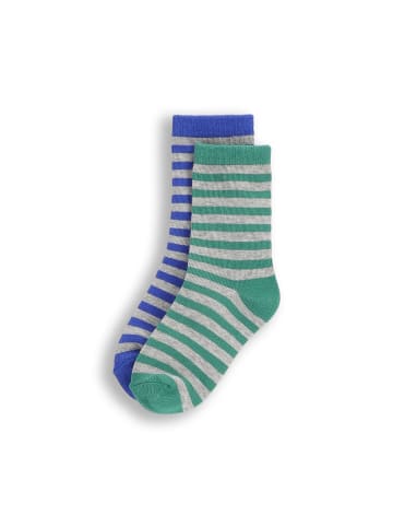 Coccodrillo Socken in bunt