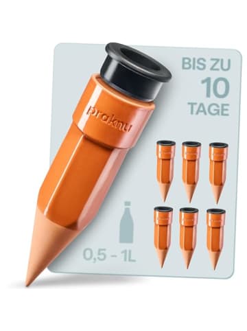 Praknu Tonkegel Bewässerung 6er Set mit Adapter für 0,5-1L PET-Flaschen