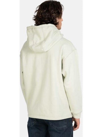 Reell Hoodie "Area Hoodie" in Grün