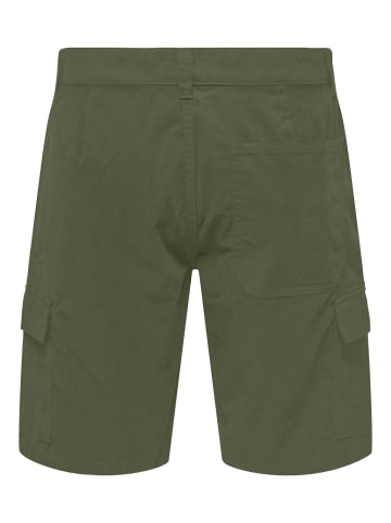 Only&Sons Shorts 'Turin' in grün