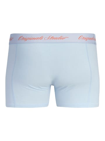 JACK & JONES PLUS 3er-Pack Trunks in Bluing