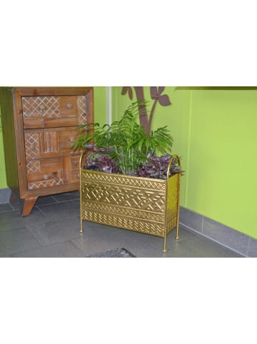 möbel-direkt Pflanzgefäße-Set 3tlg. Markus in goldfarben