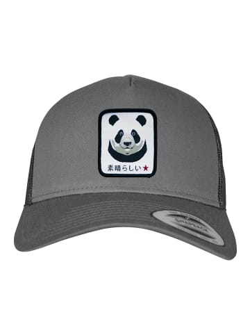 F4NT4STIC Trucker Cap Panda in charcoal