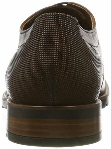 LLOYD Business Schuhe für Herren in braun