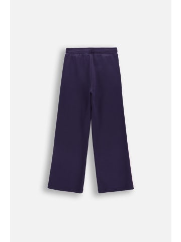 Coccodrillo Trainingshose mit Streifen in dunkelblau