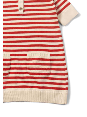 Little Green Radicals Knitted Collar Dress in Red