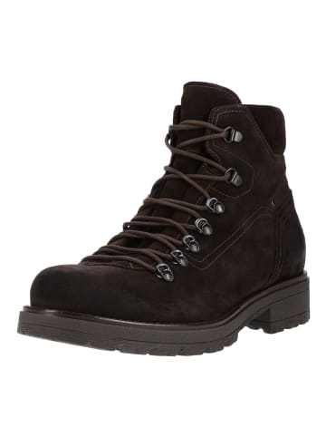 Nero Giardini Stiefelette in Dunkelbraun
