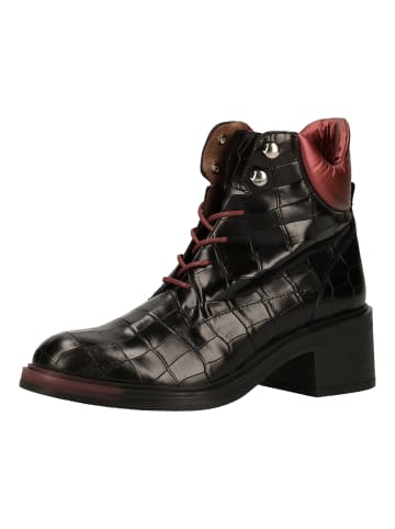 Wonders  Stiefelette in Schwarz