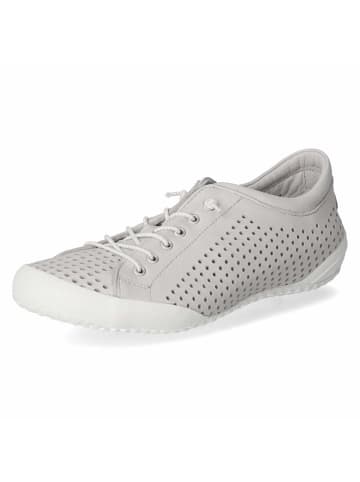 Andrea Conti Schnürhalbschuh in grey