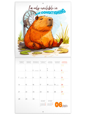 NOTIQUE Wandkalender 2027 in Freche Capybaras - 30 x 30 cm