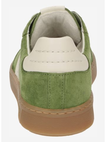 Sioux Sneaker für Damen in grün