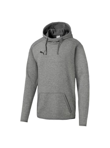 Puma Sweatshirt Liga Casual Hoody in Grau