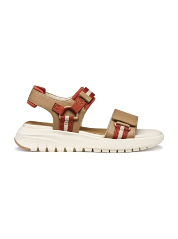 Geox Trekkingsandalen in Beige